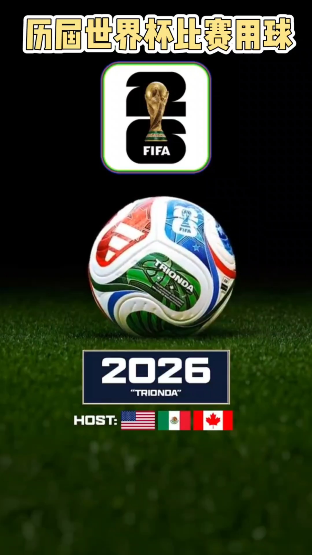 全运金牌故事丨山东柔道和滑板夺金背后，有咱青岛教练的助力（山东柔道、滑板全运夺金，青岛教练功不可没）